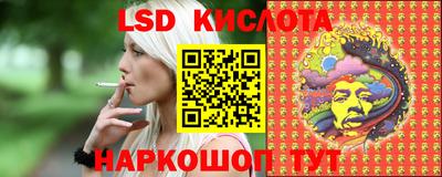 крисы Владимир