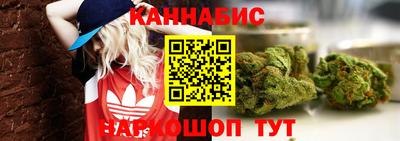 крисы Владимир