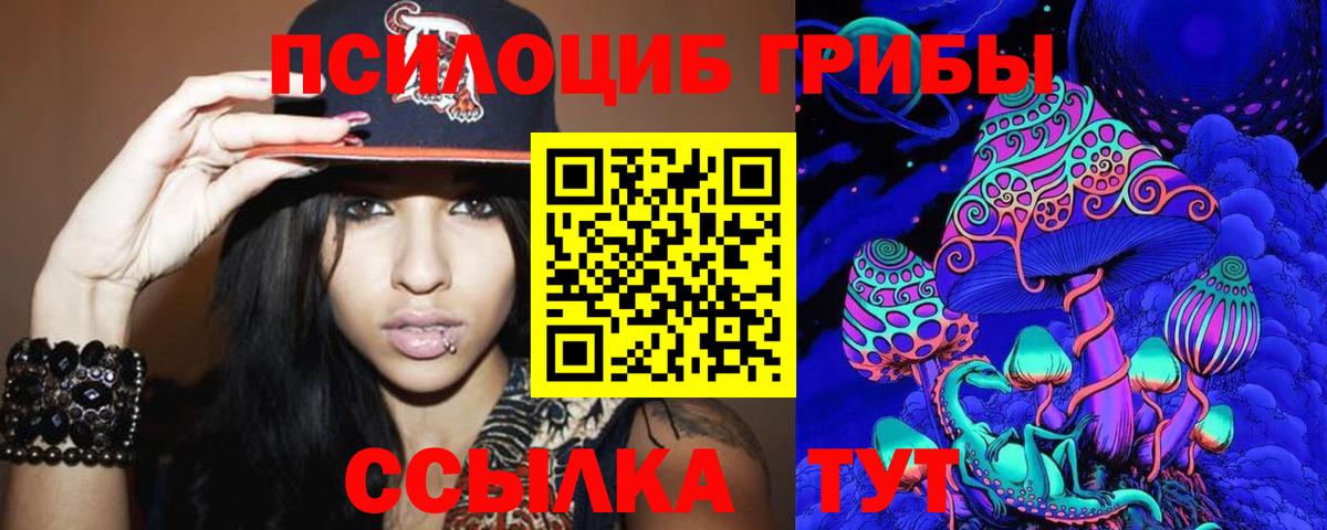 Псилоцибиновые грибы Psilocybine cubensis Советский