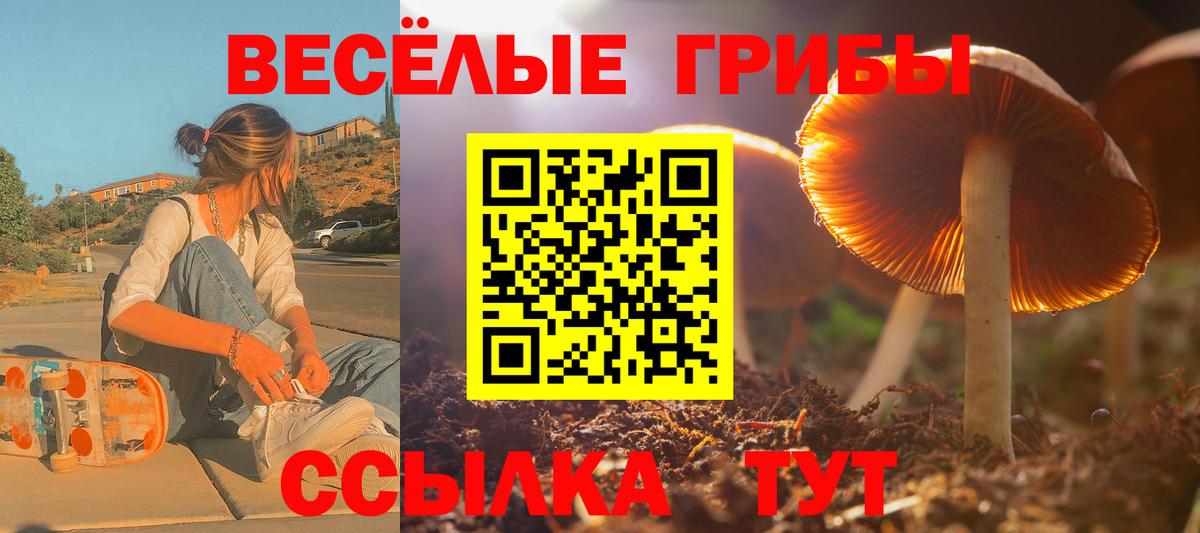 Советский  Псилоцибиновые грибы Cubensis  Галлюциногенные грибы ЛСД  Вход с VPN 